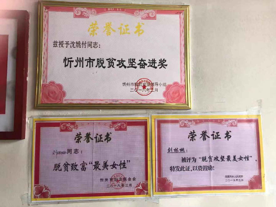 图片7.png