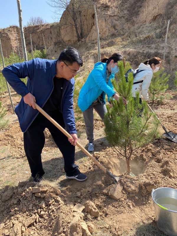 植树造林 绿满家园