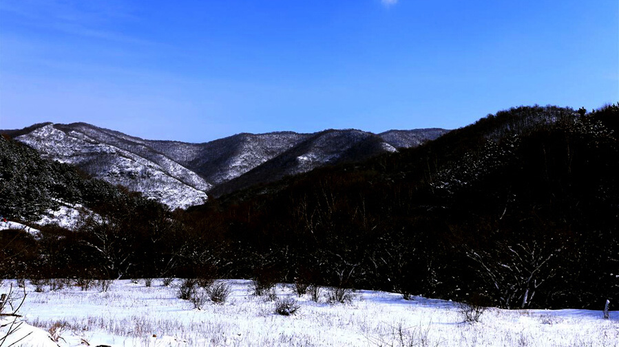 下雪了 去隰县紫荆山浪漫谷吧