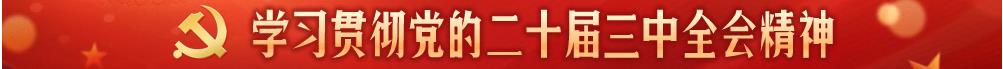 学习贯彻党的二十届三中全会精神