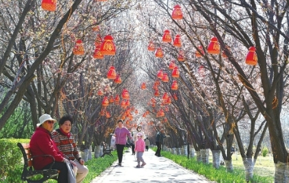 诗意桃花蹊