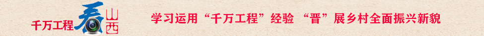 学习运用“千万工程”经验 “晋”展乡村全面振兴新貌